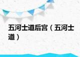 五河士道后宫（五河士道）