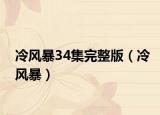 冷风暴34集完整版（冷风暴）