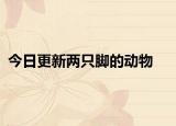 今日更新两只脚的动物