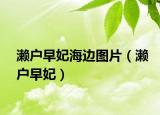 濑户早妃海边图片（濑户早妃）