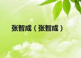 张智成（张智成）