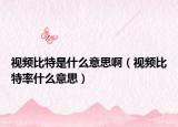视频比特是什么意思啊（视频比特率什么意思）