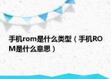 手机rom是什么类型（手机ROM是什么意思）