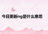 今日更新ng是什么意思