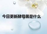 今日更新酵母菌是什么