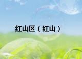 红山区（红山）