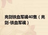 亮剑铁血军魂40集（亮剑-铁血军魂）