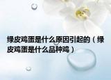 绿皮鸡蛋是什么原因引起的（绿皮鸡蛋是什么品种鸡）