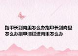 指甲长到肉里怎么办指甲长到肉里怎么办指甲溃烂进肉里怎么办