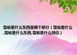 雪蛤是什么东西是哪个部分（雪蛤是什么,雪蛤是什么东西,雪蛤是什么部位）