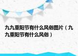 九九重阳节有什么风俗图片（九九重阳节有什么风俗）