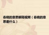 春晓的意思解释视频（春晓的意思是什么）