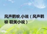 风声鹤唳,小说（风声鹤唳 耽美小说）