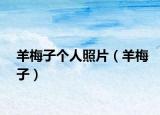 羊梅子个人照片（羊梅子）