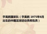 李霄鹏国家队（李霄鹏 1975年6月出生的中国足球运动员教练员）
