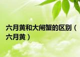 六月黄和大闸蟹的区别（六月黄）