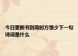 今日更新书到用时方恨少下一句诗词是什么