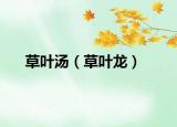 草叶汤（草叶龙）