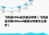 飞利浦190e显示器分辨率（飞利浦显示屏190ew9屏幕分辨率怎么调好）
