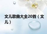 文儿歌曲大全20首（文儿）