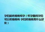 孕妇能吃杨桃吗孕（怀孕期间孕妇可以吃杨桃吗 孕妇吃杨桃有什么好处）