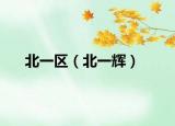 北一区（北一辉）