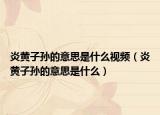 炎黄子孙的意思是什么视频（炎黄子孙的意思是什么）