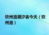 钦州港潮汐表今天（钦州港）
