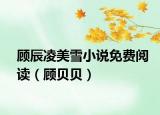 顾辰凌美雪小说免费阅读（顾贝贝）