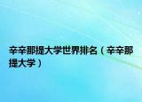 辛辛那提大学世界排名（辛辛那提大学）