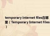 temporary internet files在哪里（Temporary Internet Files）