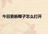 今日更新椰子怎么打开