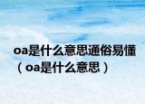 oa是什么意思通俗易懂（oa是什么意思）