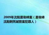 2009年沈阳夏俊峰案（夏俊峰 沈阳刺死城管案犯罪人）