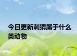 今日更新刺猬属于什么类动物