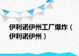 伊利诺伊州工厂爆炸（伊利诺伊州）