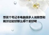 想买个笔记本电脑很多人说联想和戴尔比较好那么哪个更好呢