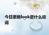 今日更新look是什么动词
