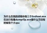 为什么在我的进程中有三个Svchost.exe在运行有毒dumprep.exe是什么节目有时候有个大cpu