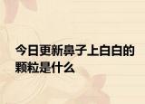 今日更新鼻子上白白的颗粒是什么