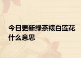 今日更新绿茶裱白莲花什么意思