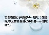 怎么看自己手机的Mac地址（在线等,怎么样查看自己手机的mac地址啊?）
