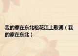 我的家在东北松花江上歌词（我的家在东北）