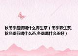 秋冬季应该喝什么养生茶（冬季养生茶,秋冬季节喝什么茶,冬季喝什么茶好）