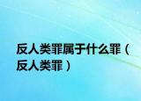 反人类罪属于什么罪（反人类罪）