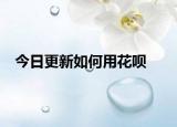 今日更新如何用花呗