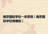 南京国际学校一年费用（南京国际学校有哪些）