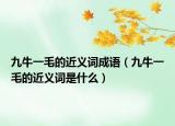 九牛一毛的近义词成语（九牛一毛的近义词是什么）