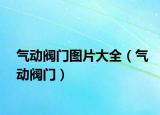 气动阀门图片大全（气动阀门）
