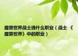 魔兽世界战士选什么职业（战士 《魔兽世界》中的职业）